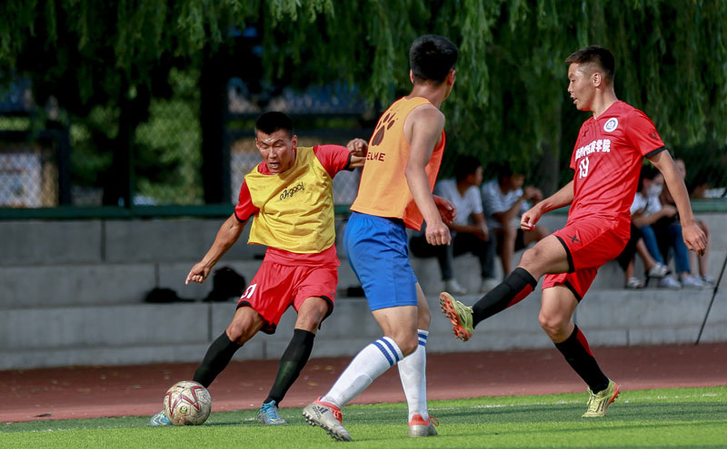 日本职棒球队投手表现保持稳定